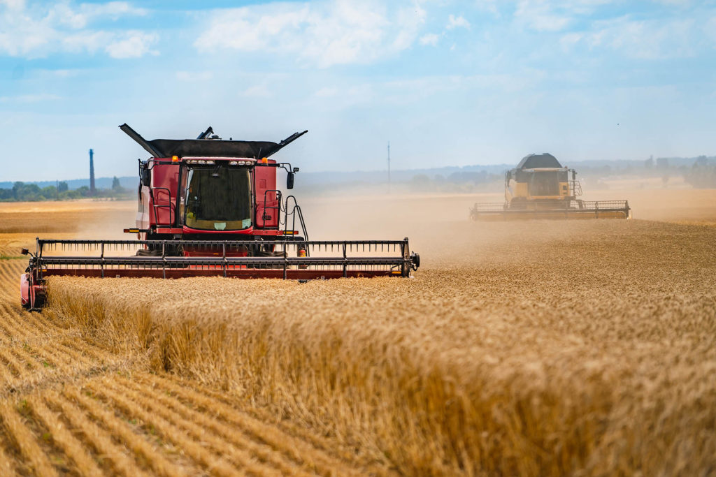 Against the backdrop of a sunny summer day and blue sky with clouds. Combine harvester harvesting ripe golden wheat on the field. The image of the agricultural industry